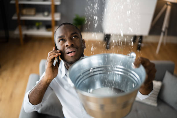 Best 24/7 water damage repair  in Jamesburg, NJ