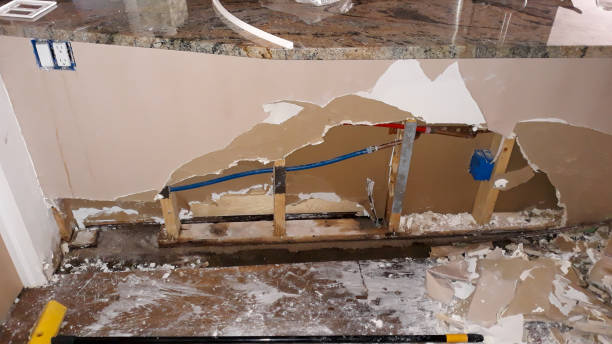 Best Flooded house restoration  in Jamesburg, NJ