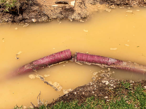 Best Residential water damage restoration  in Jamesburg, NJ